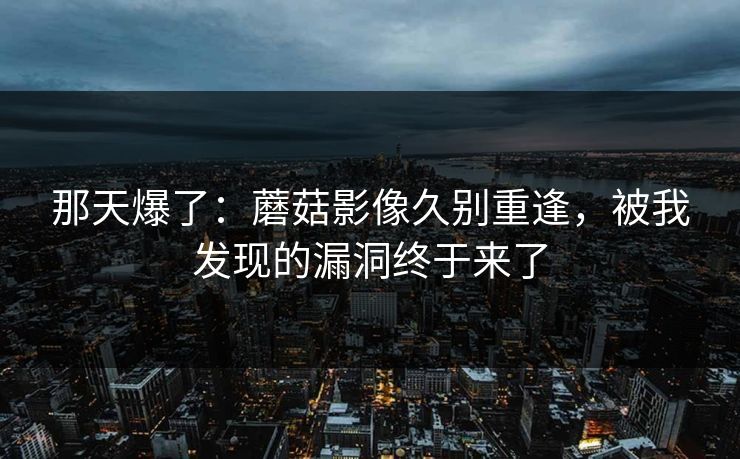 那天爆了：蘑菇影像久别重逢，被我发现的漏洞终于来了